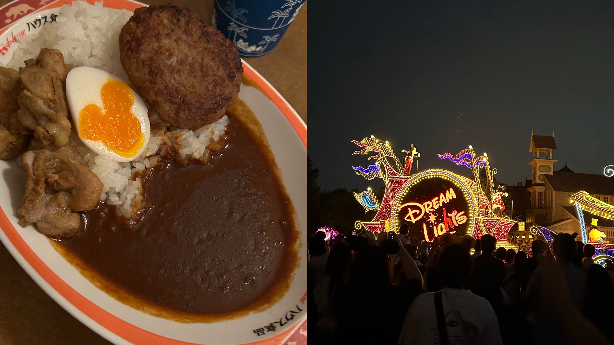 ディズニーランド　カレーとエレクトリカルパレード